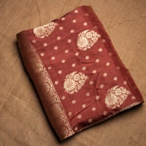 Gulnaar Coral Rust Bridal Saree